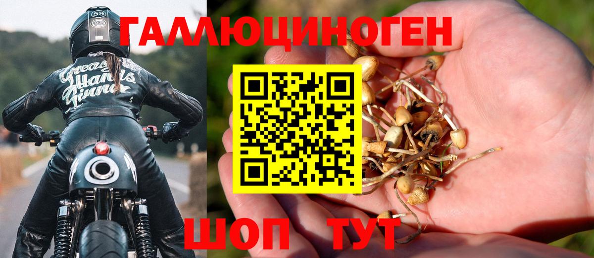 Нефтекамск  Псилоцибиновые грибы Psilocybine cubensis  Вход с VPN 